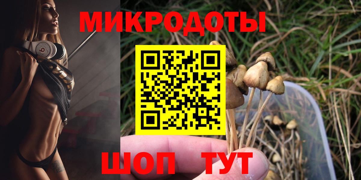 Псилоцибиновые грибы MAGIC MUSHROOMS Карасук