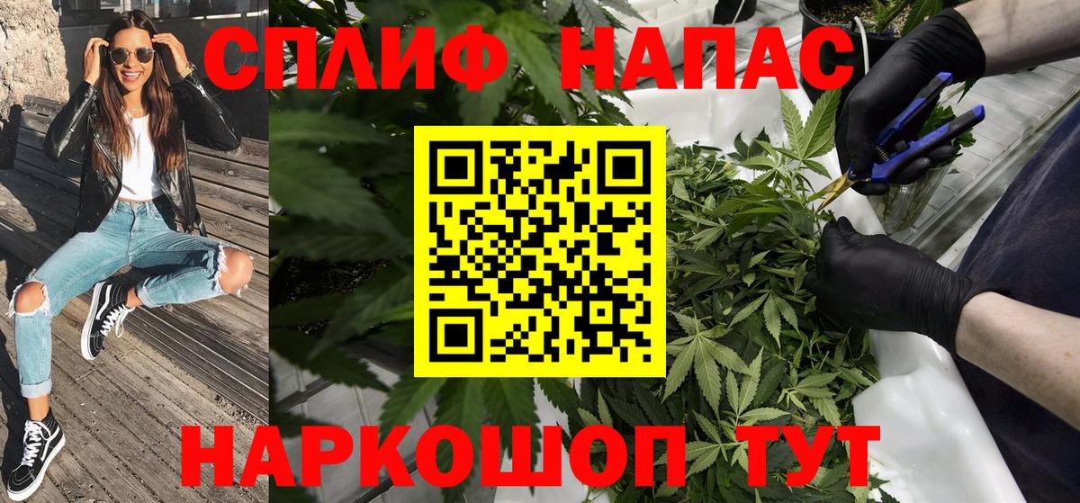 Бошки Шишки сатива  Шишки марихуана план  Вход с VPN  Каннабис индика  Карасук 